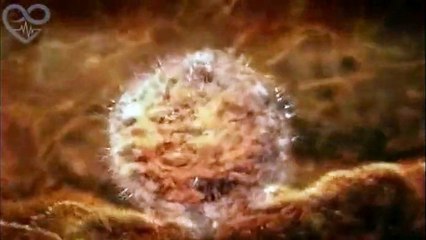 Les neuf (9) mois de la grossesse en 4 minutes