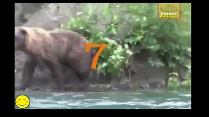 اقوى 7 هجمات للنسور واخطرها على الاطلاق.. يستحق المشاهدة