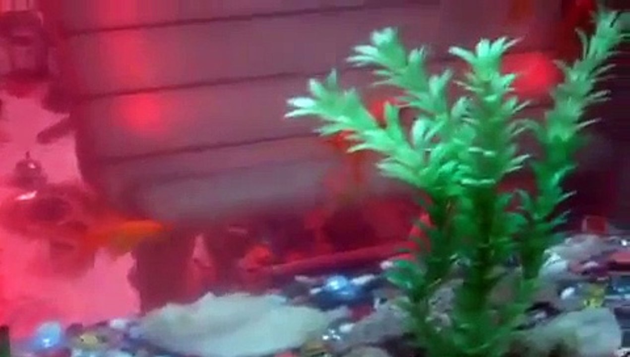 Hindi songs 2015 hits new Indian Bollywood playlist latest romantic hits collection movies album mp3