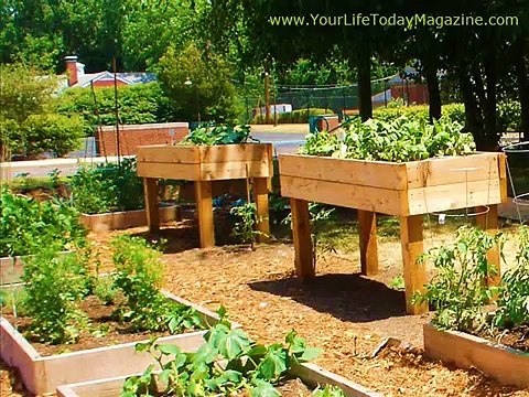 Best raised bed garden designs I Creative raised garden bed designs I Garden bed edging ideas
