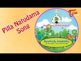 Haritha Haaram Songs || Pilla Natudama || Telangana ku Haritha Haram