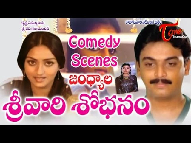 Srivari Sobhanam  Movie Comedy Scenes || Back to Back ||  Naresh || Anita Reddy