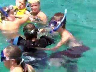Dolphin Therapy - Serenity Program by Water Planet
