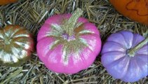DIY Glitter Pumpkins - Pumpkin Decorating Ideas