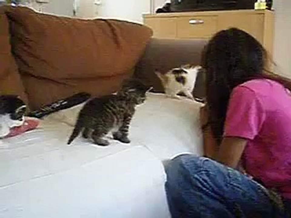 Melanie met onze Lieve Kittens