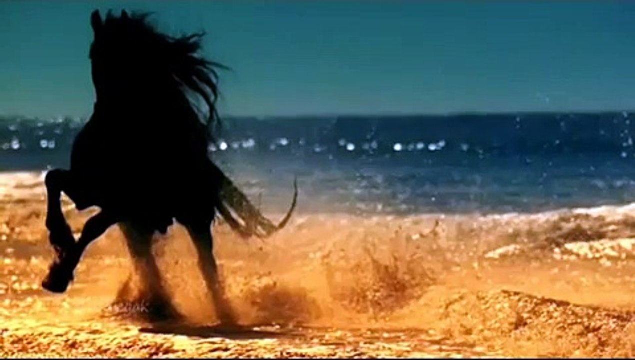 Sting - Desert Rose original song