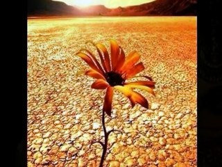 Linda (Flamenco Árabe) ●Ishtar Alabina & Los Niños de Sara●