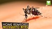 Mosquito Bites - Home Remedies | Health Tips