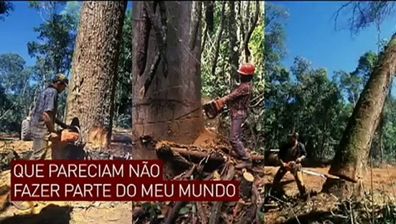 SPVS 25 anos