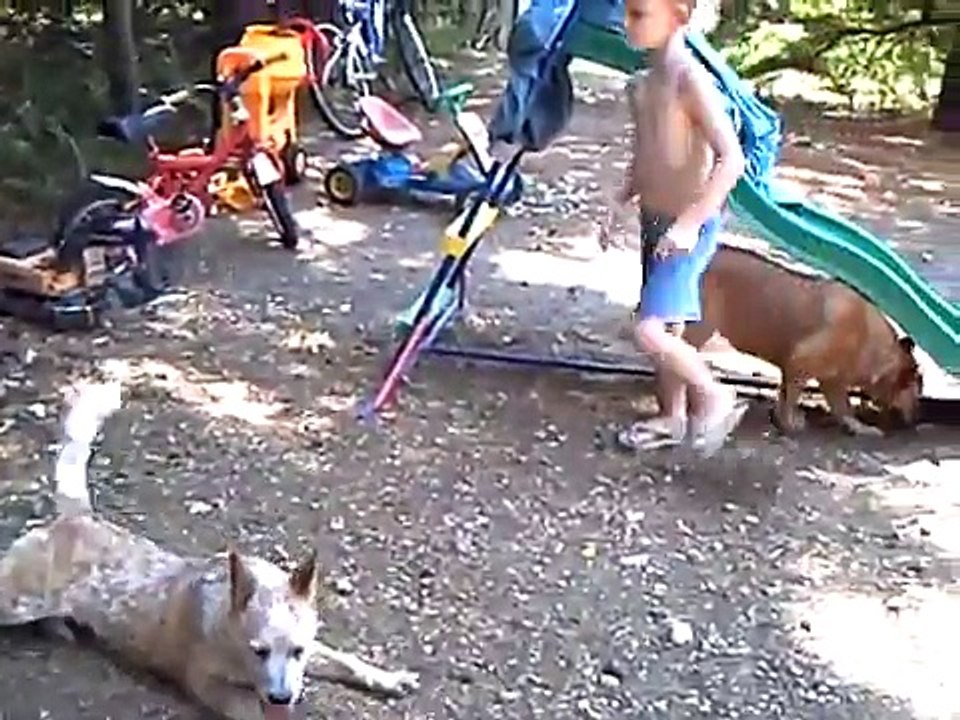 Vidéos ACD