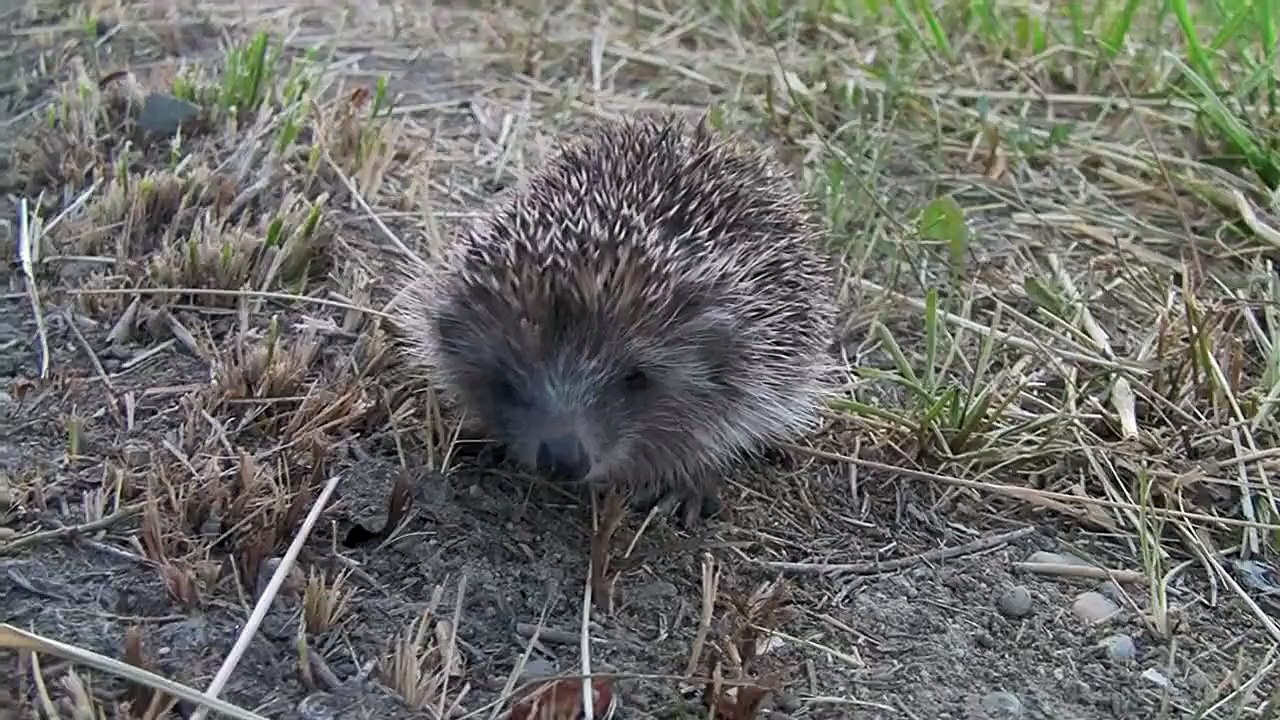 SŰN !!!