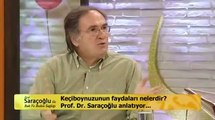 İbrahim Saraçoğlu Keçiboynuzu Faydaları