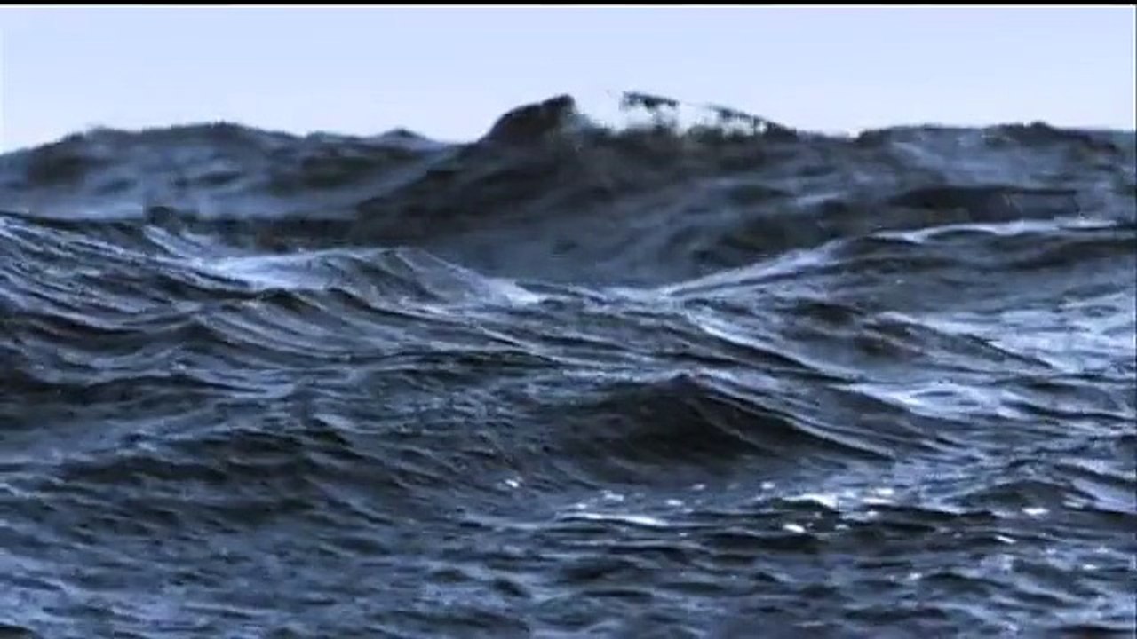flying fish