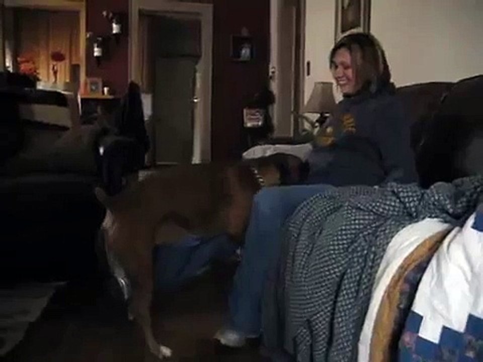 Carlen's Dog Humping my leg