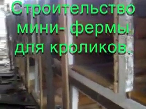 Строительство мини фермы для кроликов
