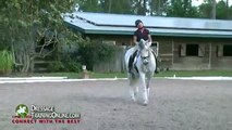 Canter Aids and Rein Back Tutorials, Nancy Later-Lavoie