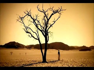 Deva Premal   Jai Radha Madhava