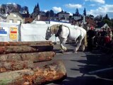 Horse-logging Demonstration