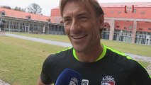 Hervé Renard : 