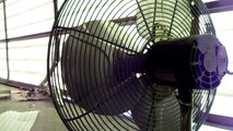 (----) Dayton 3C217B 24'' Industrial Fan Oscillating (Blooper)
