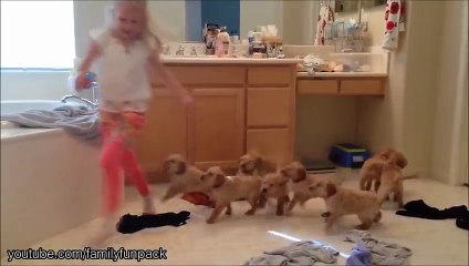 Invasiones de cachorritos que abruman a sus dueños