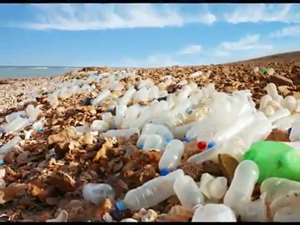 Ocean Pollution
