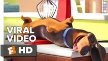 The Secret Life of Pets VIRAL VIDEO - Meet Buddy (2016) - Jenny Slate Animated M_HD