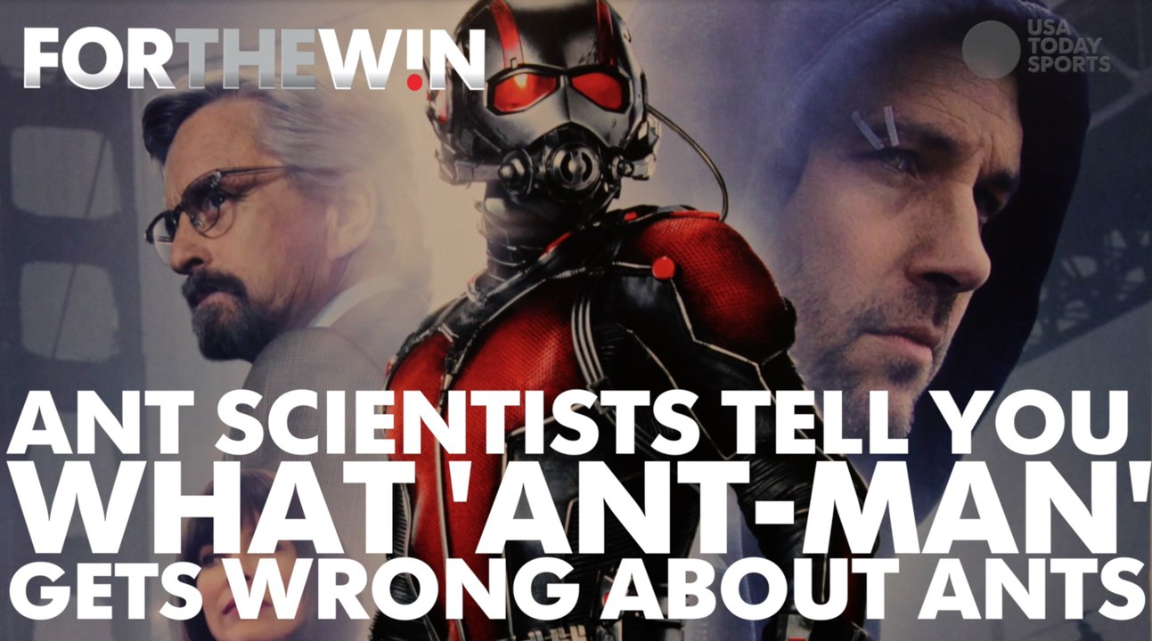 Ant scientists tell you everything 'Ant-Man' gets wrong about ants