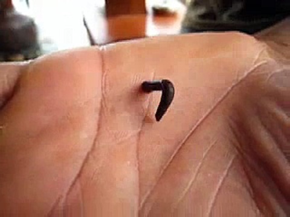 The Leech