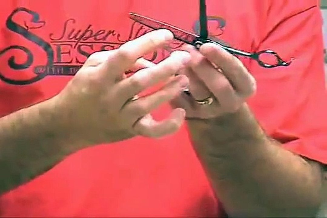 Super Styling Session Tips: Scissoring Techniques in Pet Grooming