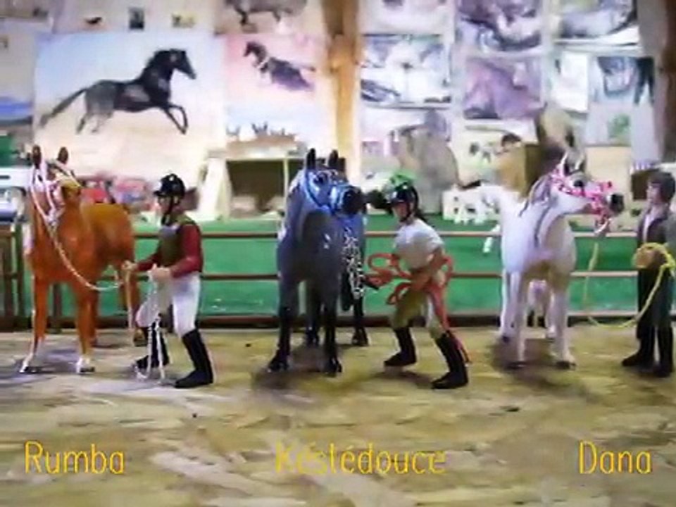 (Schleich Chevaux) /!\TERMINE/!\ Concours vote de la + belle bête d'Equiselle en Stop-motion!