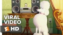 The Secret Life of Pets VIRAL VIDEO - Meet Leonard (2016) - Animated Movie HDHD