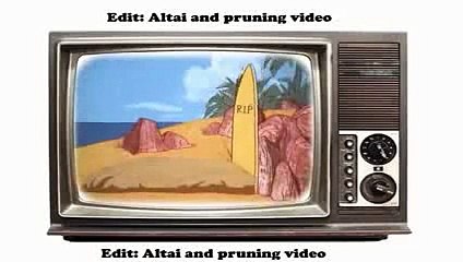 Tom And Jerry Surf Bored Cat 1967 Best Cartoons