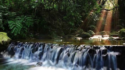 Аудиостихи  - Поймет не тот, кто много видел