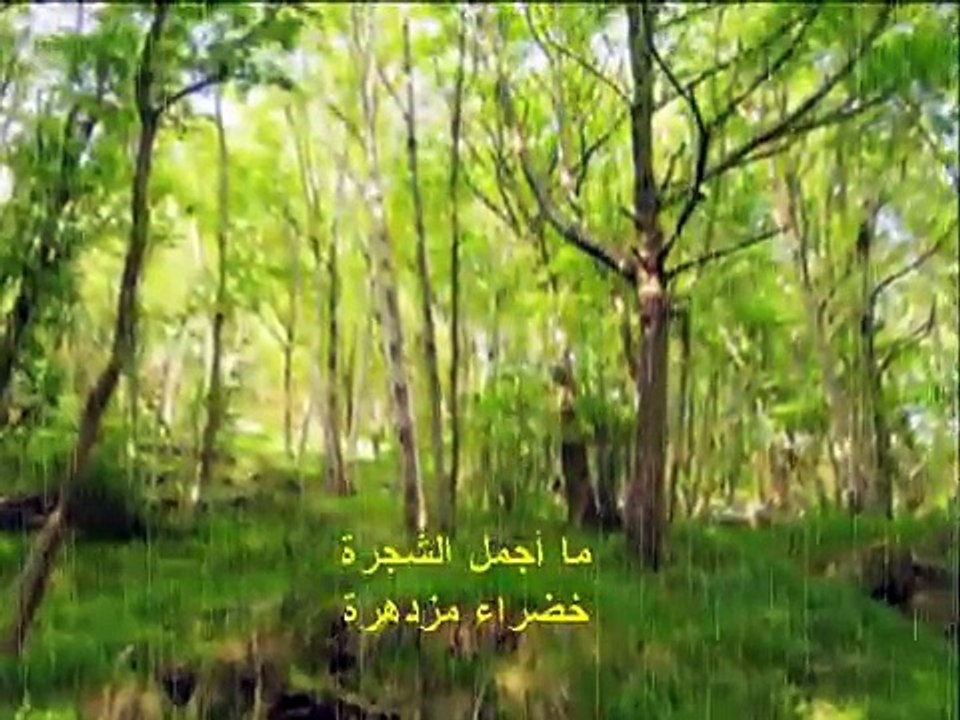 نشيد ما أجمل الشجرة