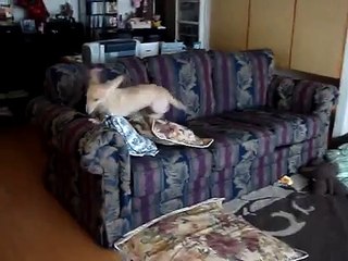 一緒に行くぅ〜