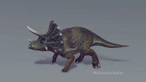 Demo Reel: Triceratops Layers of walking