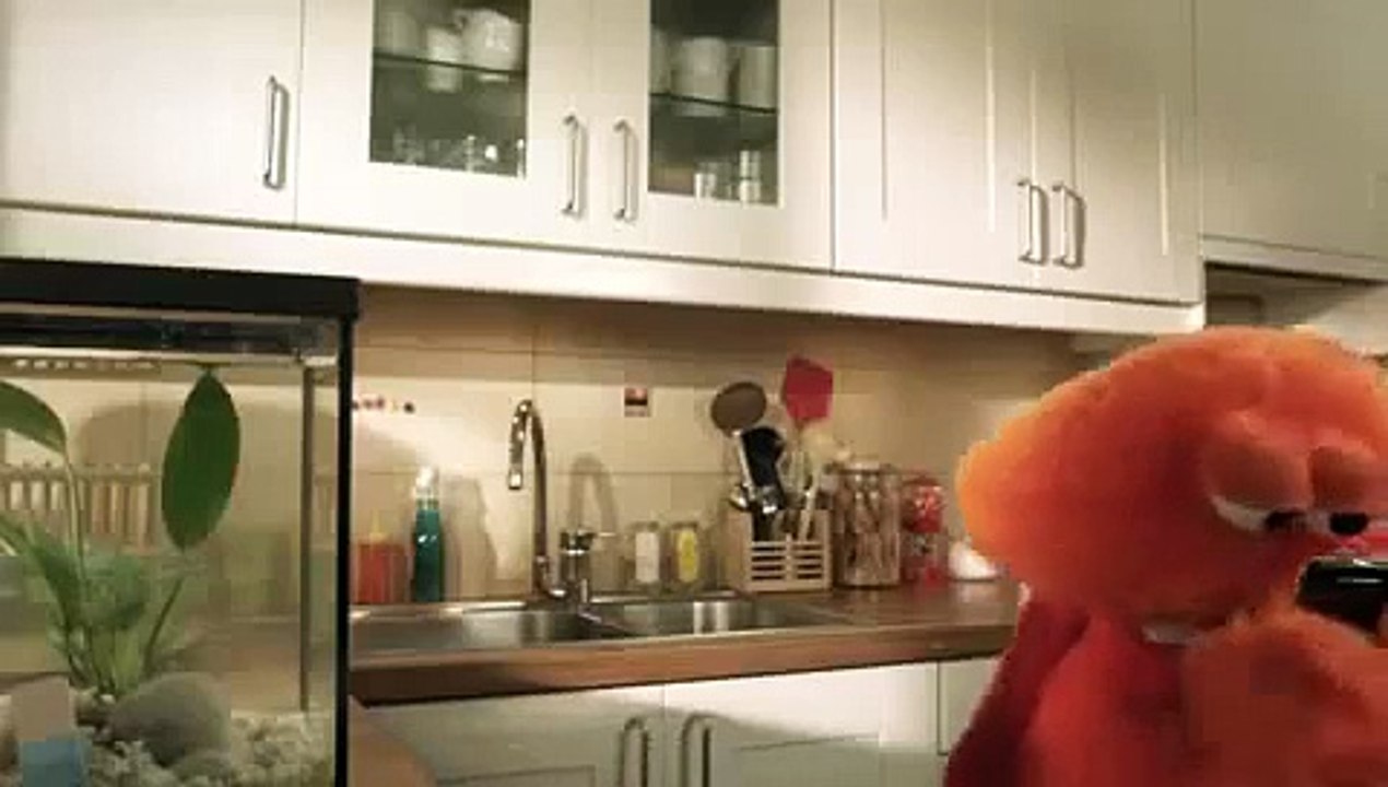 PUB - Campagne CSA 2011