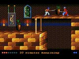Prince of Persia (Sega Genesis) Levels: 14, 15