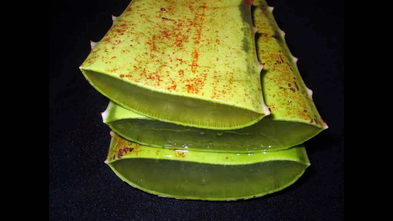 Beneficios de la sabila o aloe vera