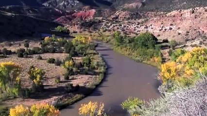 Fly Fishing the Chama River in New Mexico