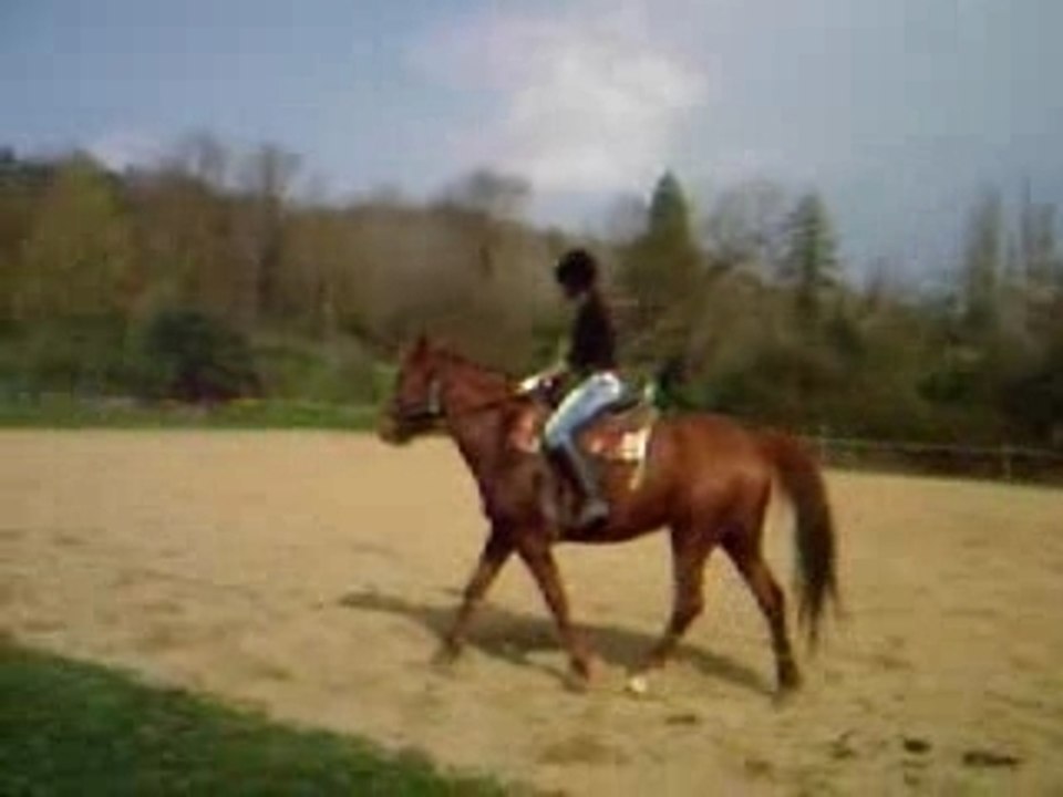 Photo 002