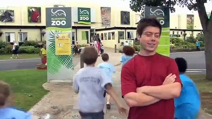 Wheels on the Bus DVD sampler