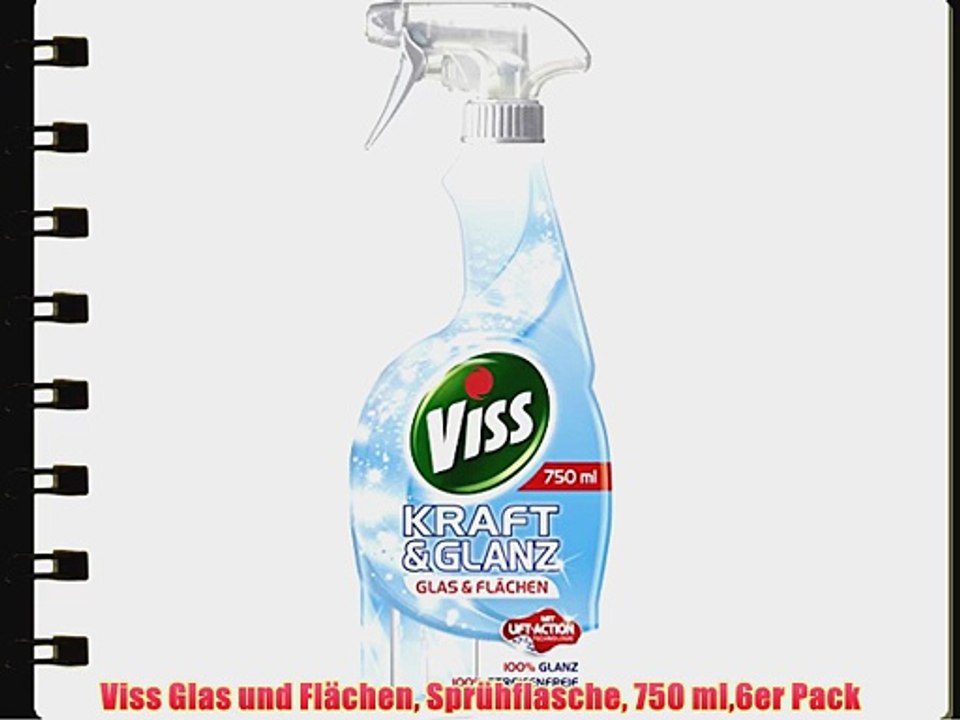 Viss Glas und Fl?chen Spr?hflasche 750 ml6er Pack