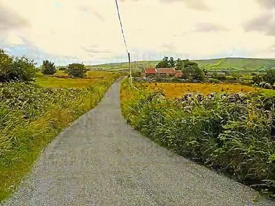 John Hogan ~ An Irish Harvest Day