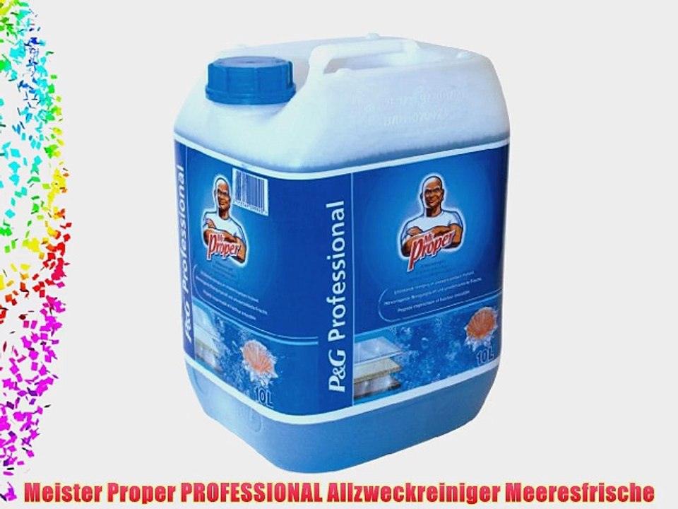 Meister Proper PROFESSIONAL Allzweckreiniger Meeresfrische