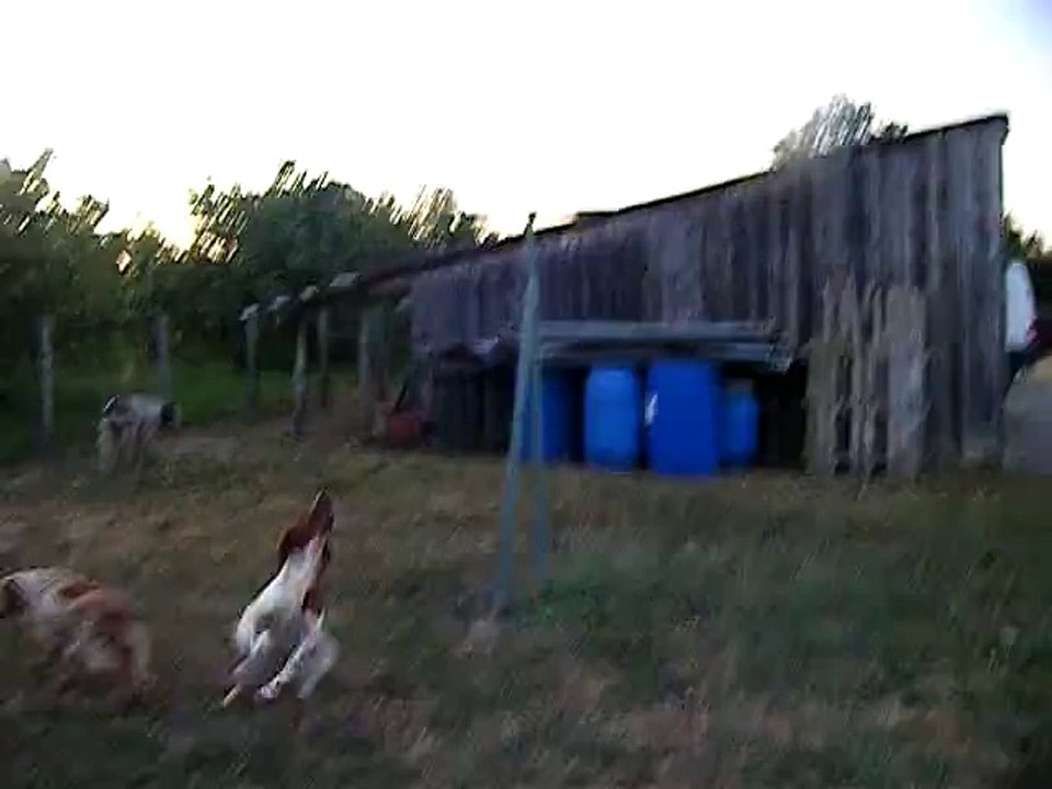 Jacée et la pince à linge bleue