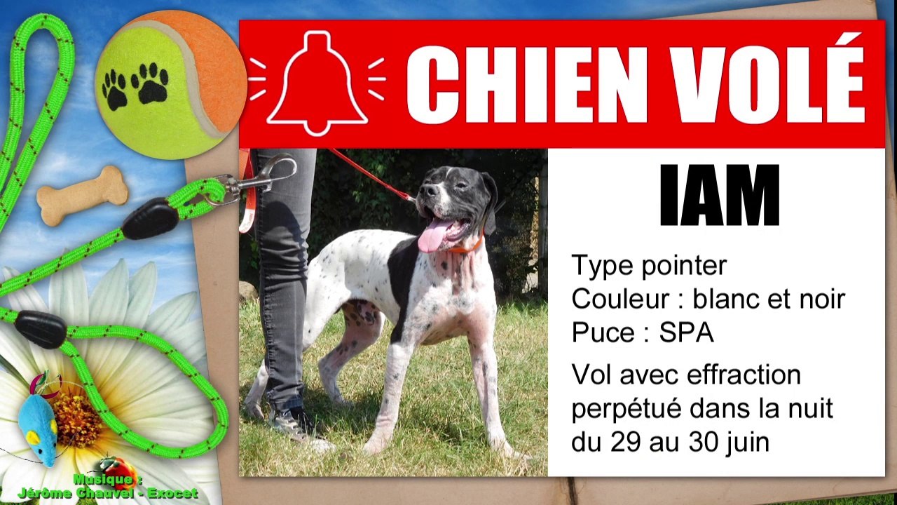 Un mois au refuge : juin 2015