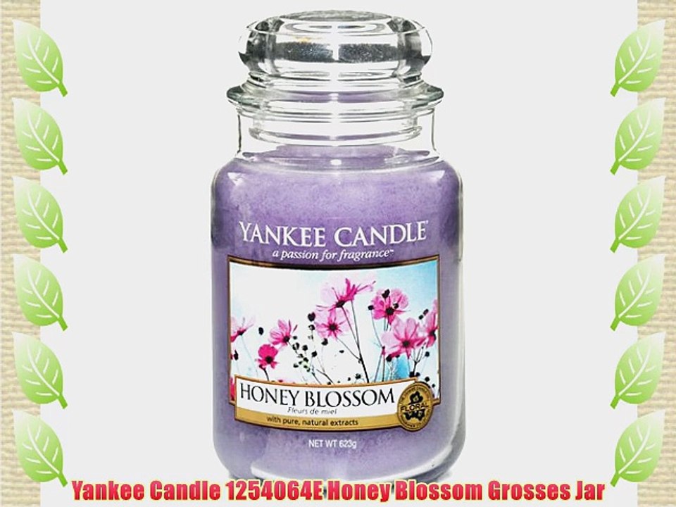 Yankee Candle 1254064E Honey Blossom Grosses Jar