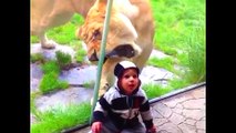 Дети в зоопарке,удивительные моменты !  Kids At The Zoo,the most amazing moments